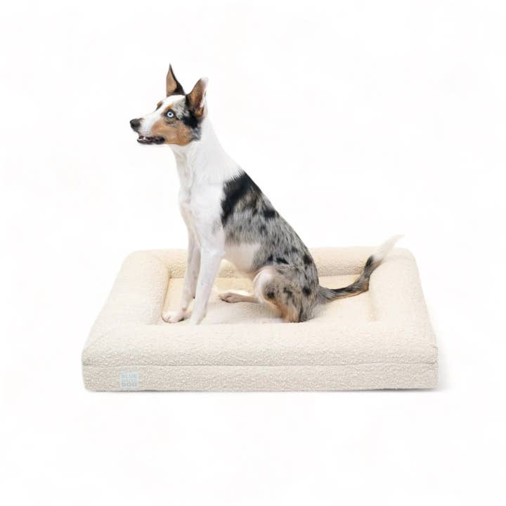 Bluewater Dog – Großhandel Haustierbett – Hund – Orthopädisches Bluewater Hundebett im Bouclé-Design, mittelgroß, Cloud