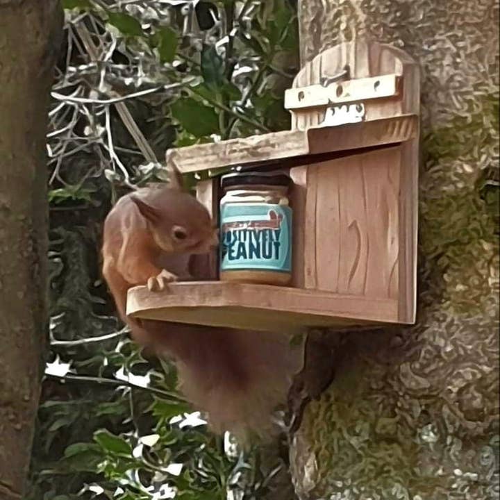 Hungry Squirrel Limited – wholesale Nut butter – Positively Peanut Crunchy nut butter 1kg7