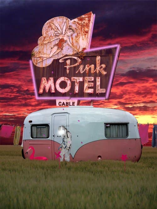 Fünfzig Rosatöne 12x16 für den Großhandel von Alter Images Art