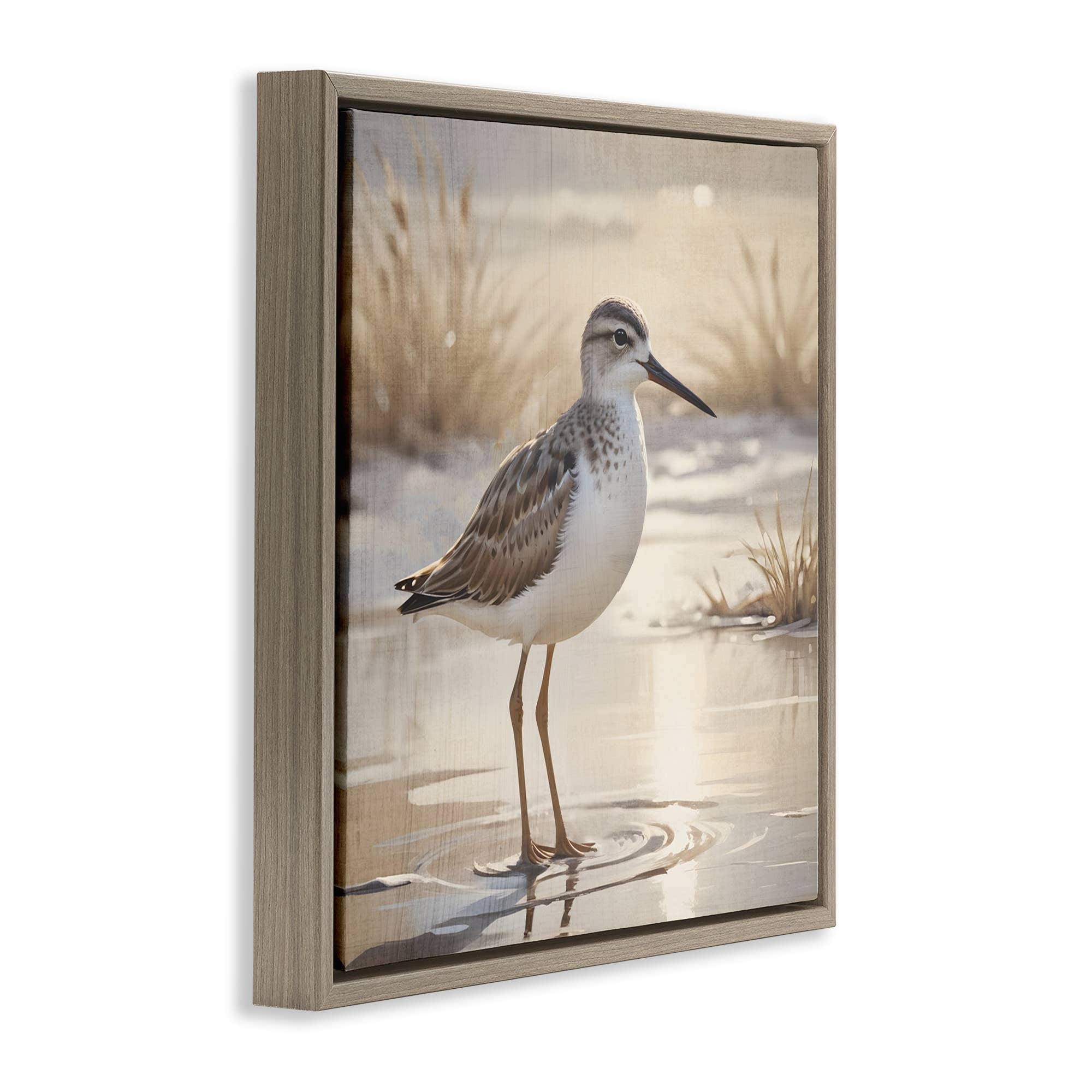 Stupell Industries – wholesale Wall sign – Sunlit Sandpiper in Shallow Water - Framed Wall Art18