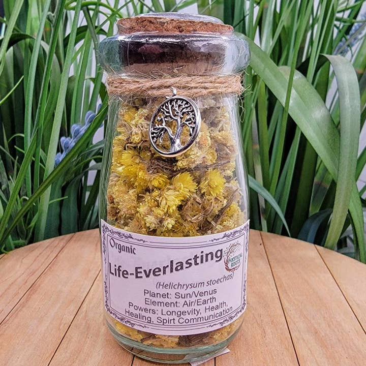 Mystical Roots - Wholesale Herbs - Herb Jar - Life-Everlasting (Helichrysum Flowers)