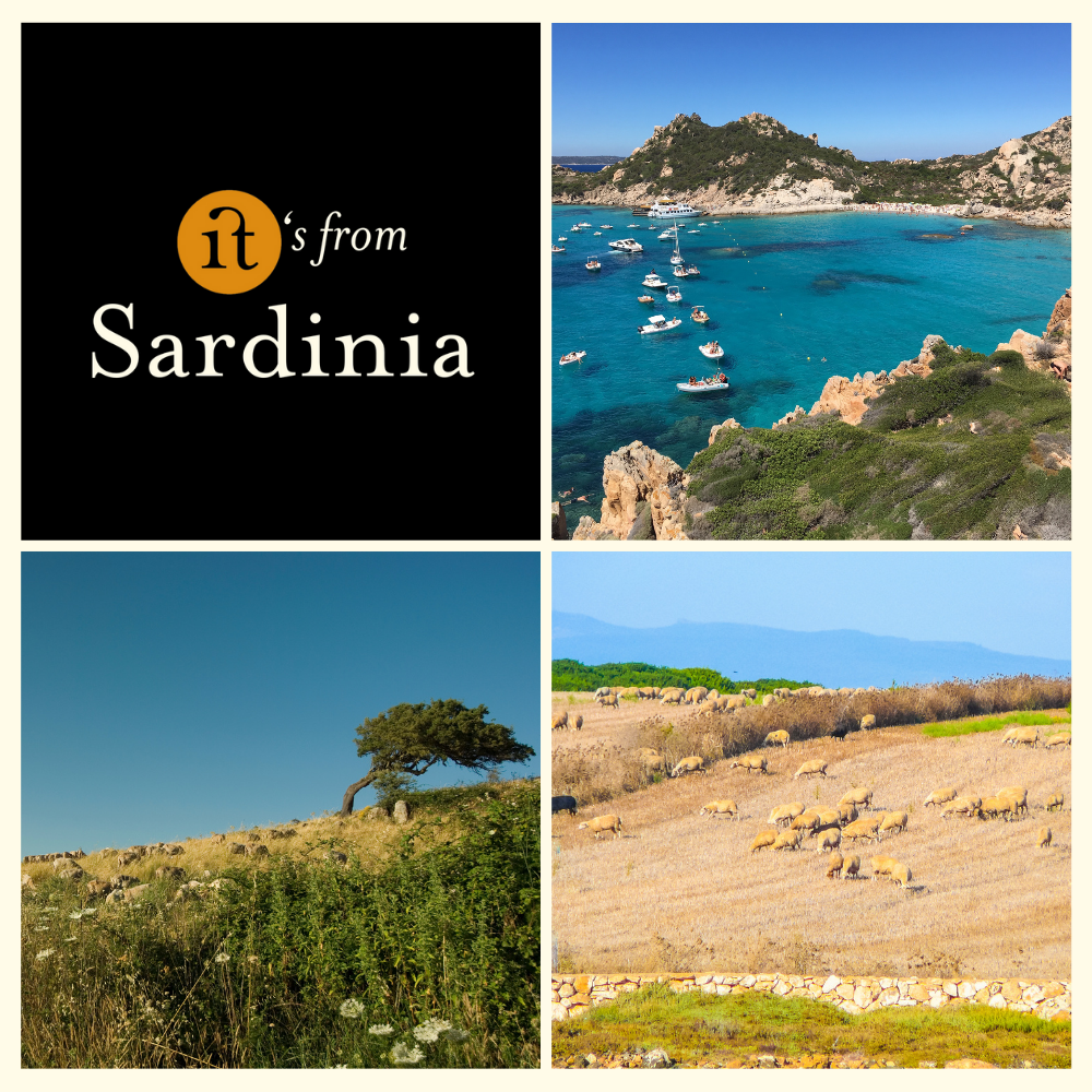 Gourm.it – wholesale Ost – Pecorino Romano PDO – intensiv och smakrik ost från Italien2