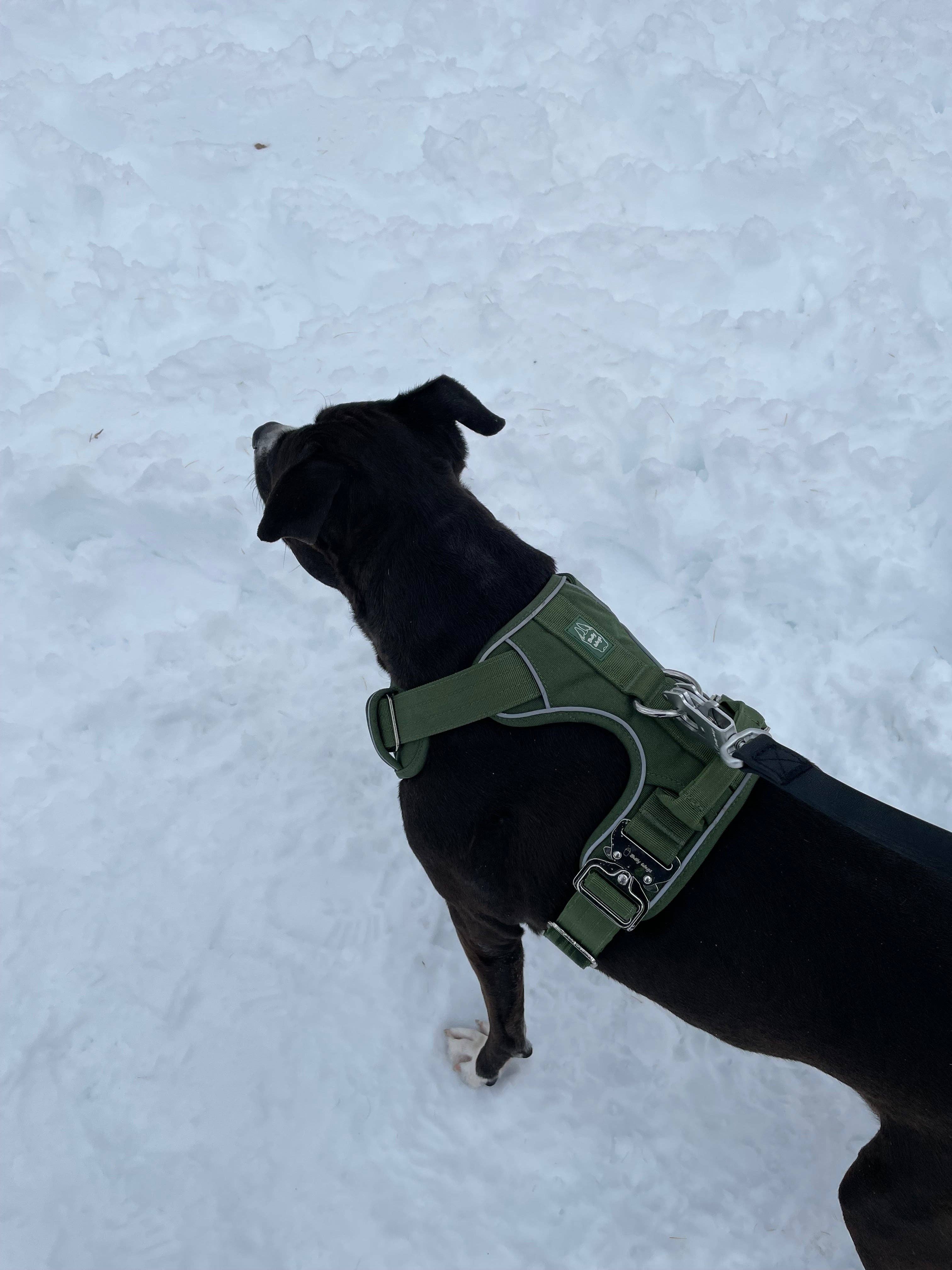 Verde Cactus Imbracatura robusta per uso quotidiano - Verde cactus in vendita all'ingrosso su Faire4