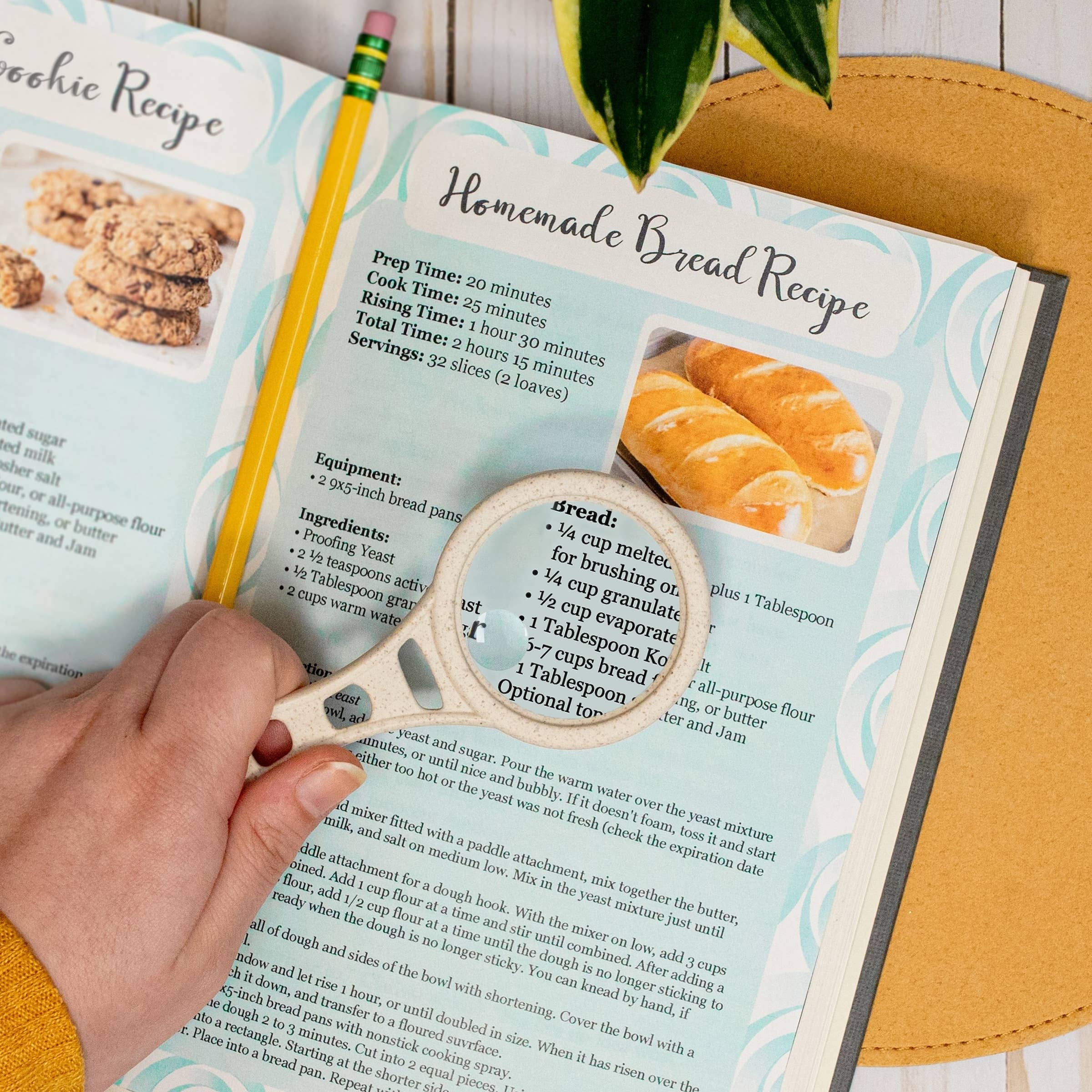 Carson EU – wholesale Förstoringsglas – MagnetMag Veteförstoringsglas 3x med 6x punktlinser0