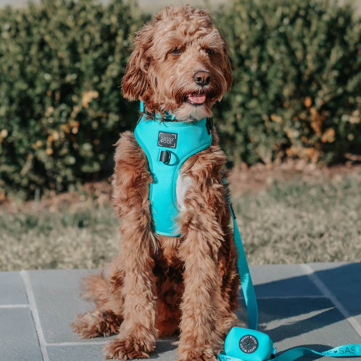 SASSY WOOF - Wholesale Pet Poop Bag Dispenser - Dog Waste Bag Holder - Neon Blue5