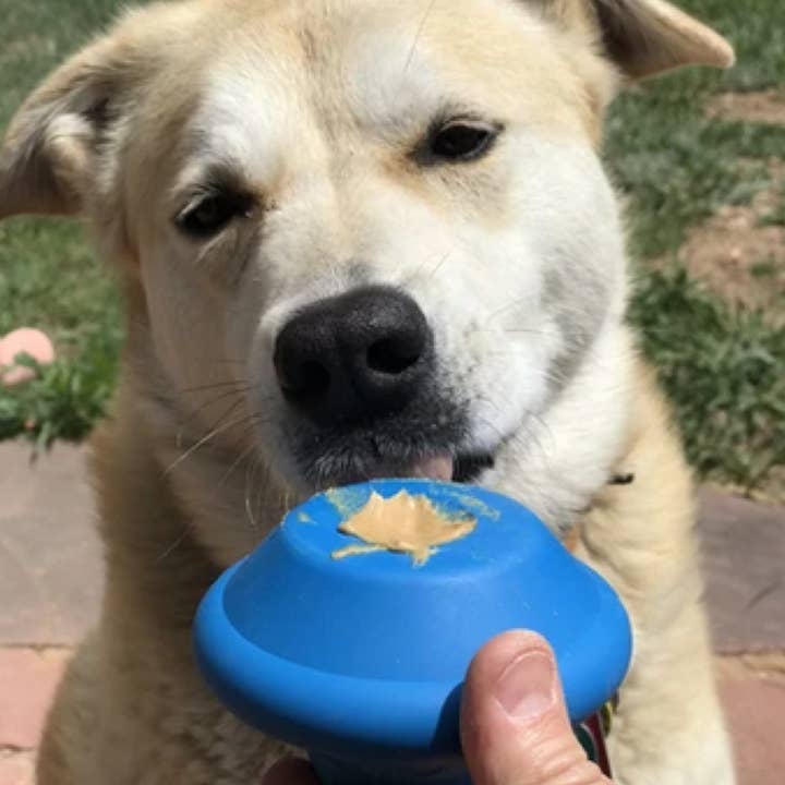 Rover Pet Products - Wholesale Pet chew toy – Dog - Flying Saucer - Dog Chew and Enrichment Toy2