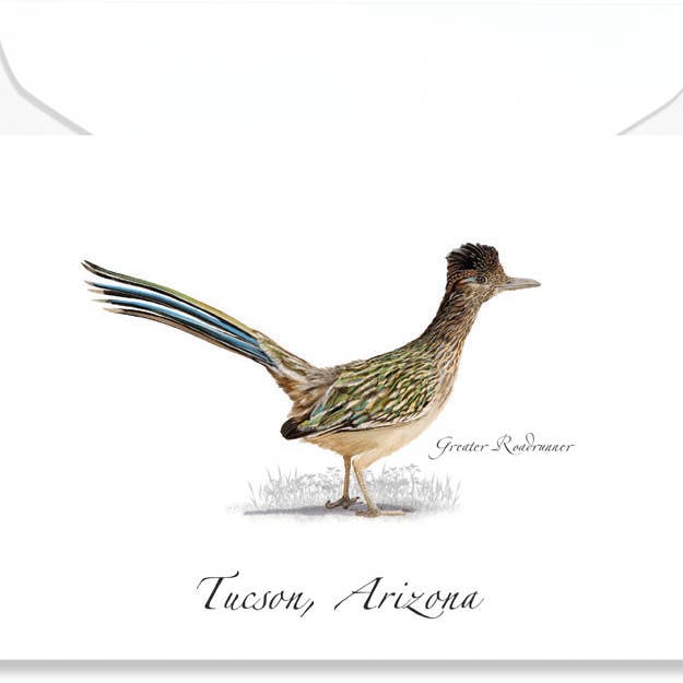 Earth Sky + Water - Wholesale Everyday Greeting Card - Roadrunner Greeting Card