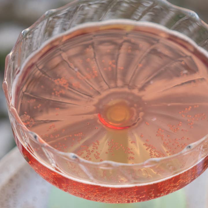 Turbulente - Wholesale Kombucha - Lavender & Blackberry Kombucha/Les Petites Bombes n°32