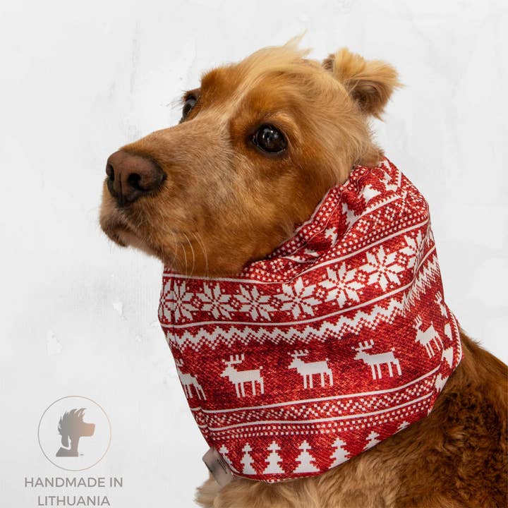 Snood Imperméable pour Chien | Renne Rouge pour la vente par Distinguish Me