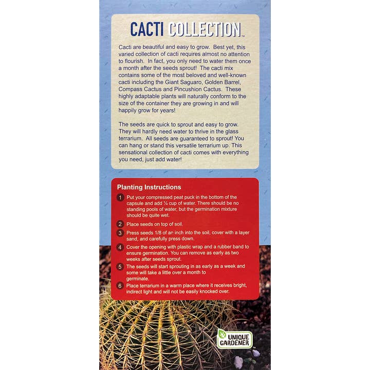 Silver Circle Products - Wholesale Terrarium - Cacti Collection Carefree Capsule Glass Terrarium