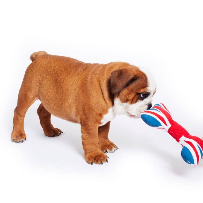 PetLondon – wholesale Pet plush toy – Dog – Union Jack Dog Bone Plush Toy UK London size Mini1