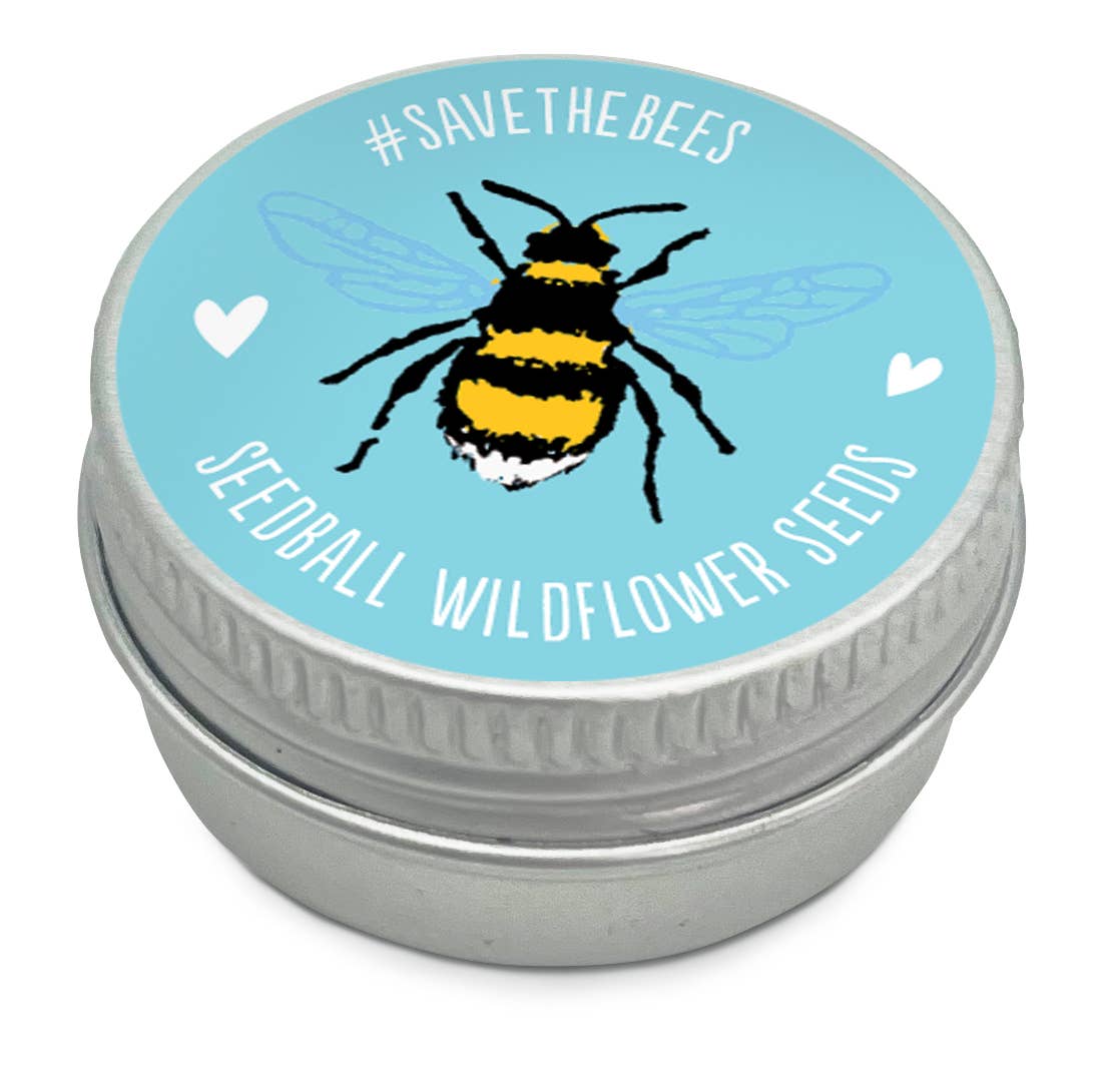 Seedball – wholesale Plant seeds – Mini Seedball Tins #Savethebees4