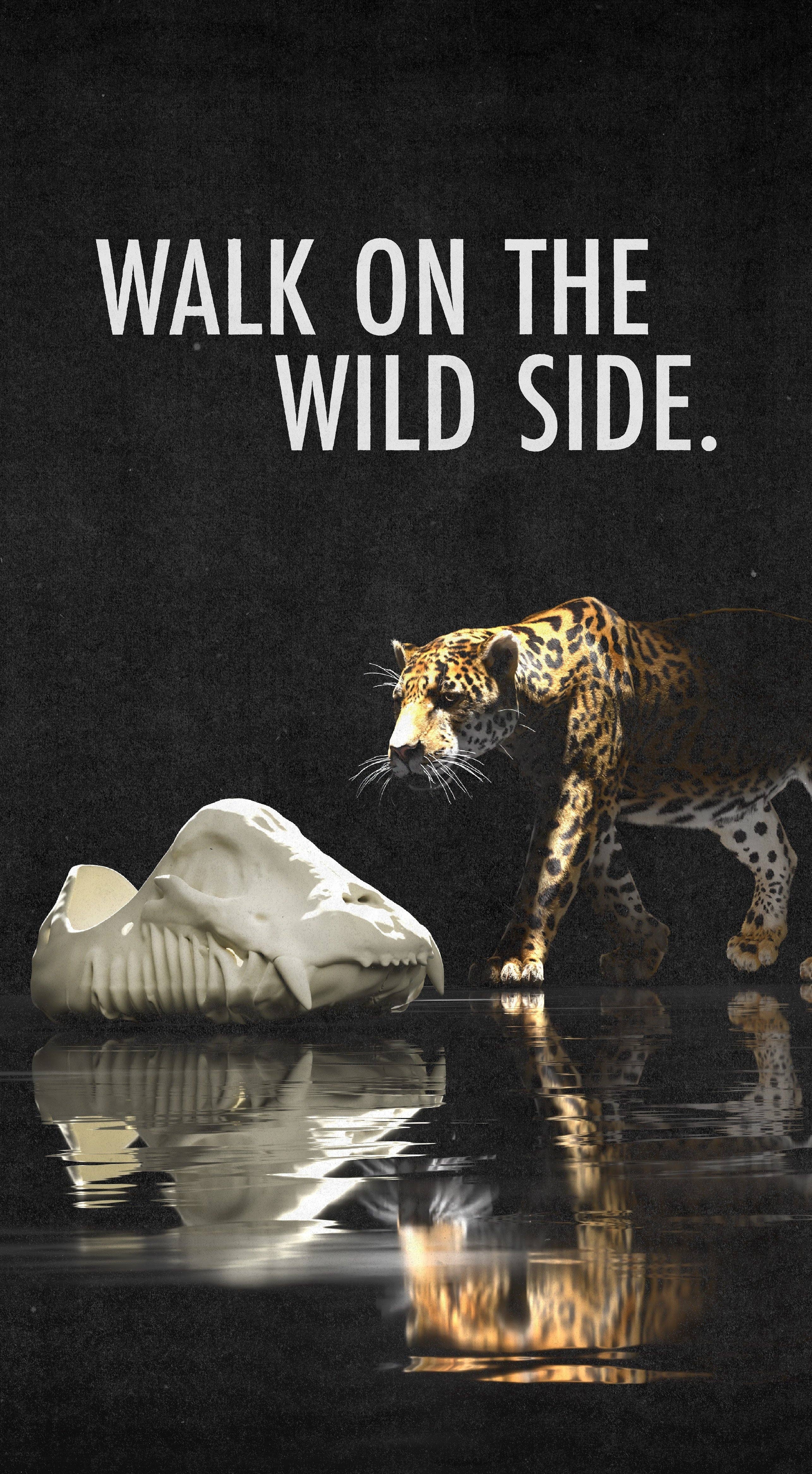 Kitowares - Vendita all'ingrosso Sneakers di tendenza - Donna - Fossil-X Jaguar Runner - PRODOTTO NEGLI STATI UNITI2