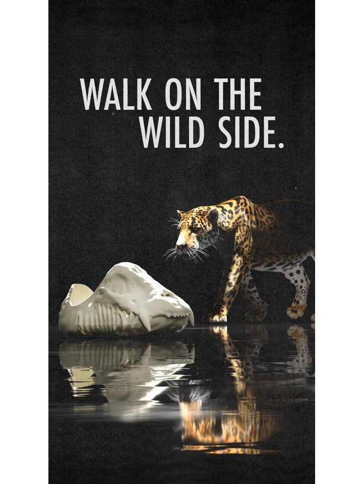 Kitowares - Vendita all'ingrosso Sneakers di tendenza - Donna - Fossil-X Jaguar Runner - PRODOTTO NEGLI STATI UNITI2