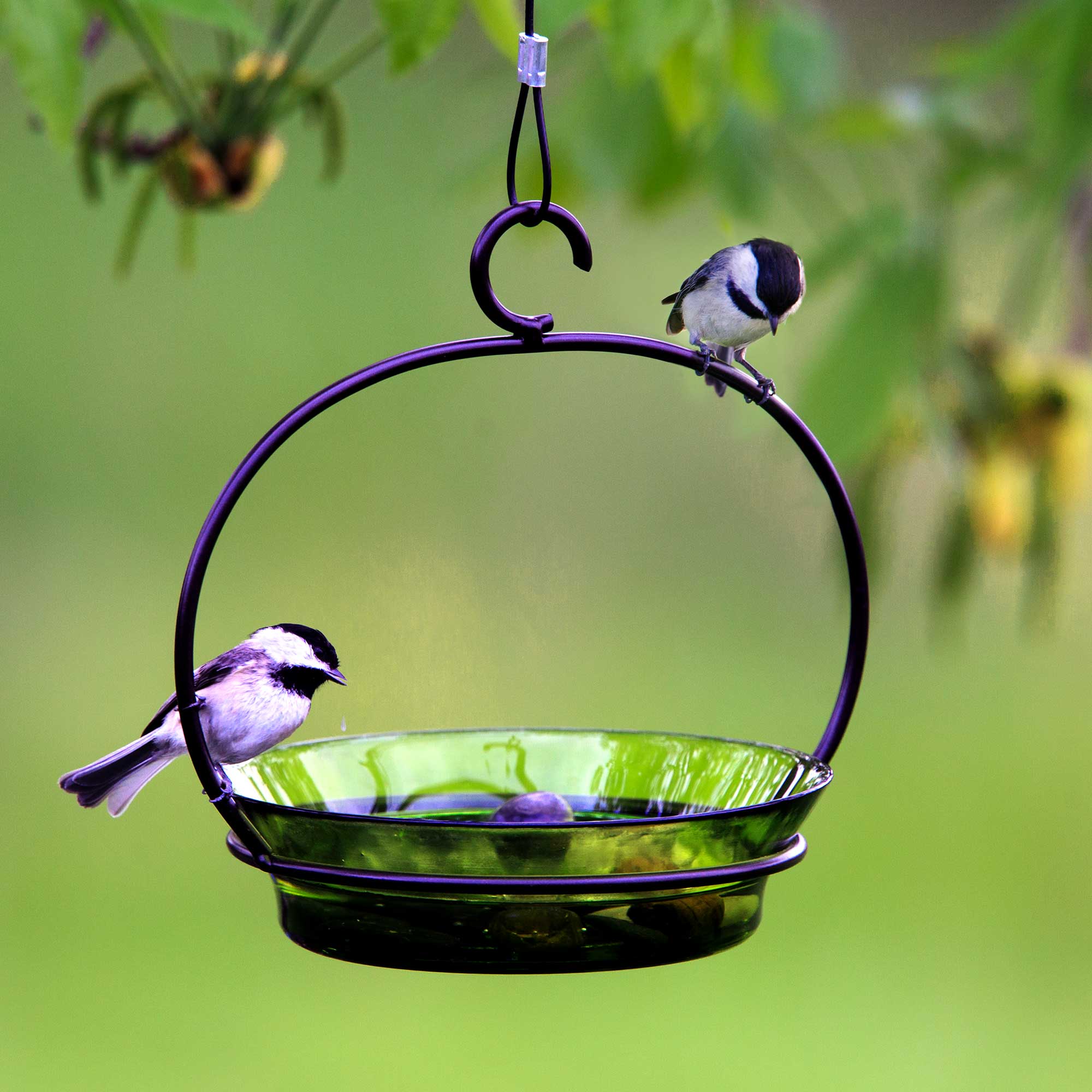 Couronne Co. - Wholesale Bird Feeder - Mosaic Birds Cuban Hanging Bird Bath Or Feeder Lime2