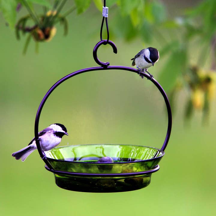 Couronne Co. - Wholesale Bird Feeder - Mosaic Birds Cuban Hanging Bird Bath Or Feeder Lime2