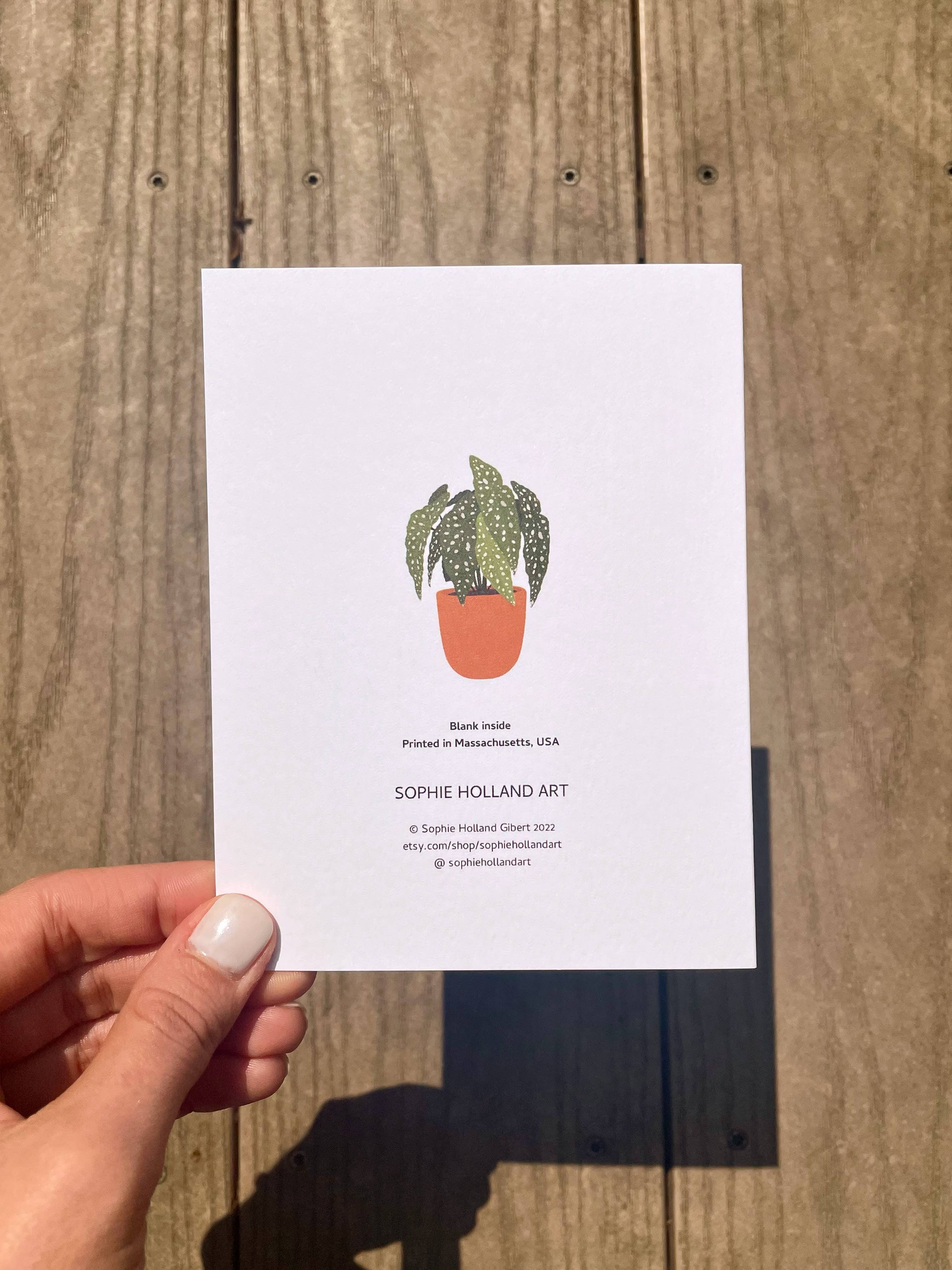 Sophie Holland Art - Wholesale Everyday Greeting Card - Begonia Maculata Plant Girl Greeting Card1
