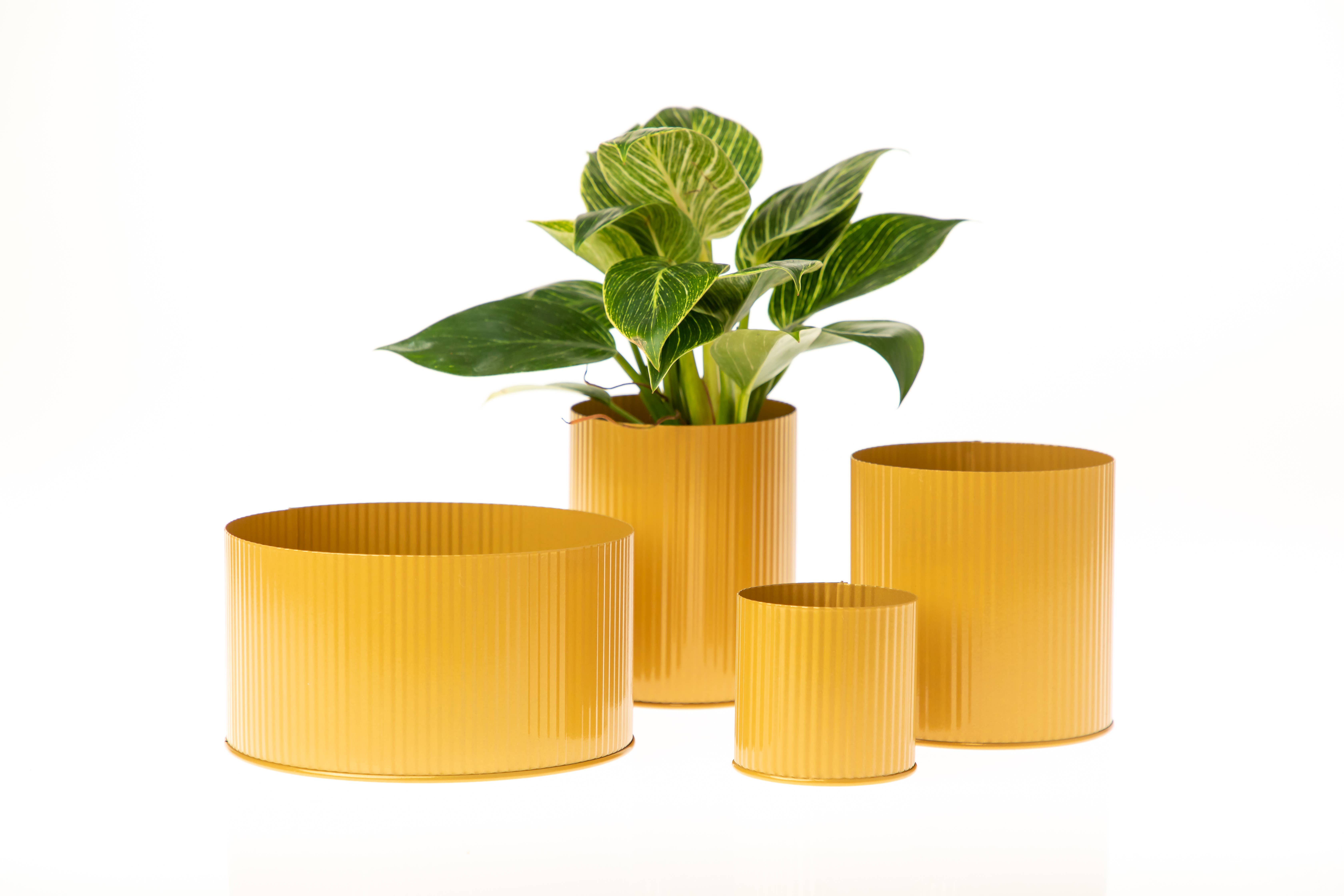 UNIMIX FLORAL – wholesale Vas – Galvaniserad plåtkruka för bröllop, evenemang och vardag 7,6x7,6 cm6