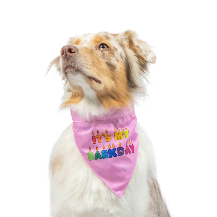 Party Time Pink Bandana 2.0 for wholesale on Faire