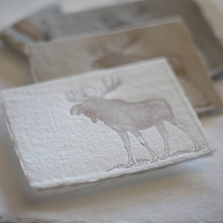 skelley west design co + letterpress - Wholesale Stationery/Notecard Set - Letterpress card pack | handmade paper | moose1