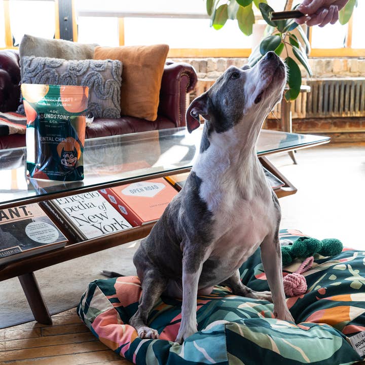 ADC Houndstone & Co. - Vendita all'ingrosso Snack - Cani - Dentifrici per cani ipoallergenici completamente naturali - Confezione da 124