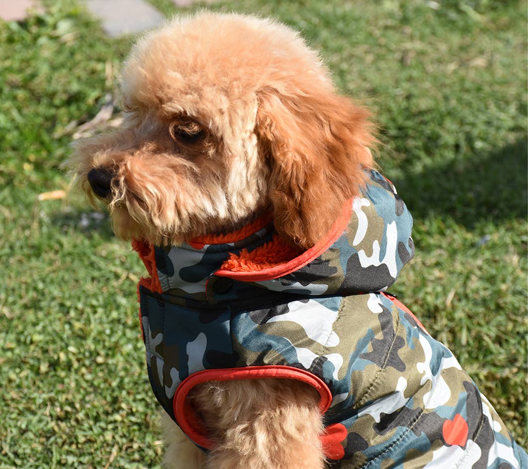 Nayeco – wholesale Hundjacka - Hund – Armyjacka med luva för hundar1