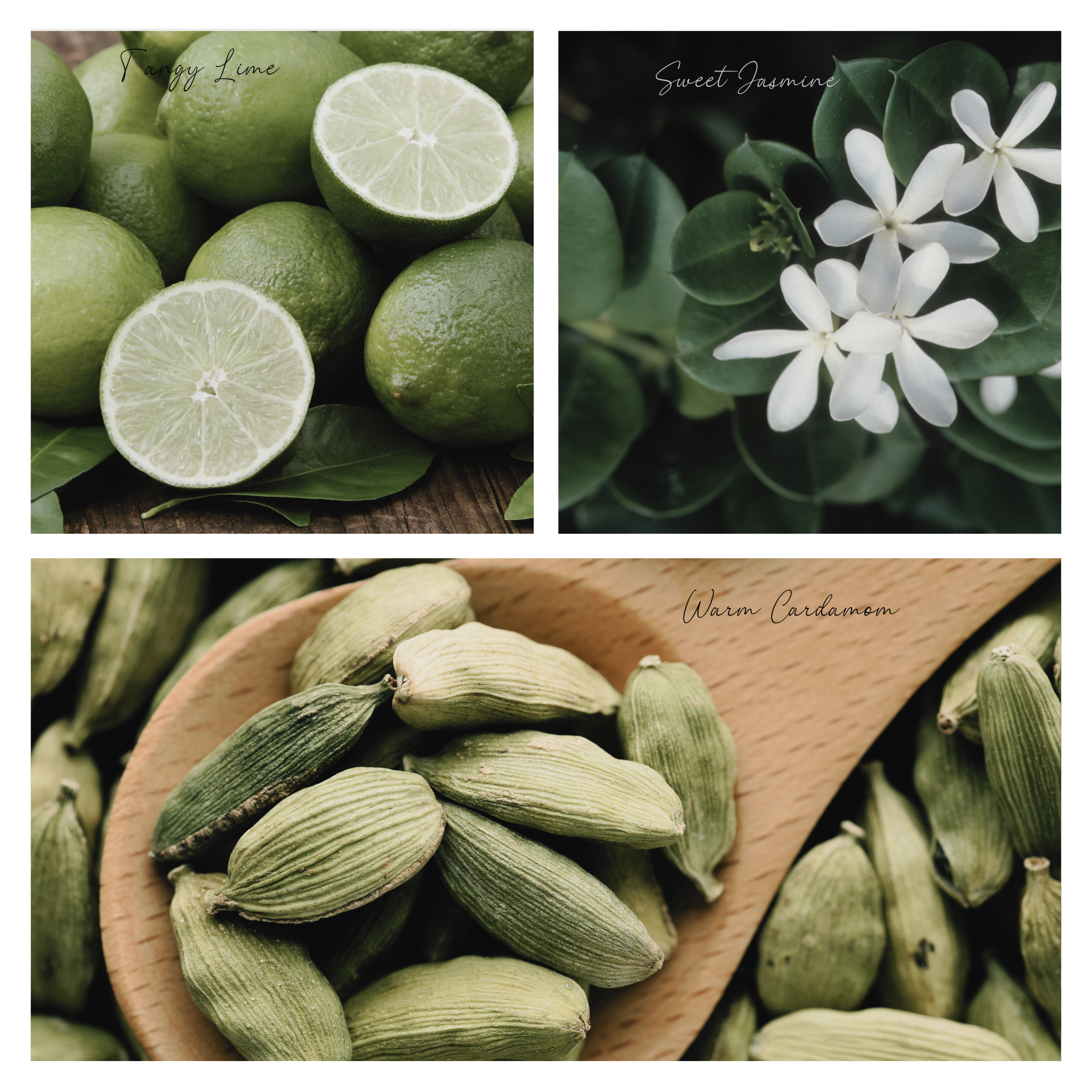 Simmer and Co Natural Aroma – Großhandel Potpourris – Be Cozy Simmer Pot Mix, Natürlicher Jasmin-Gewürzduft – Glas-Edition1