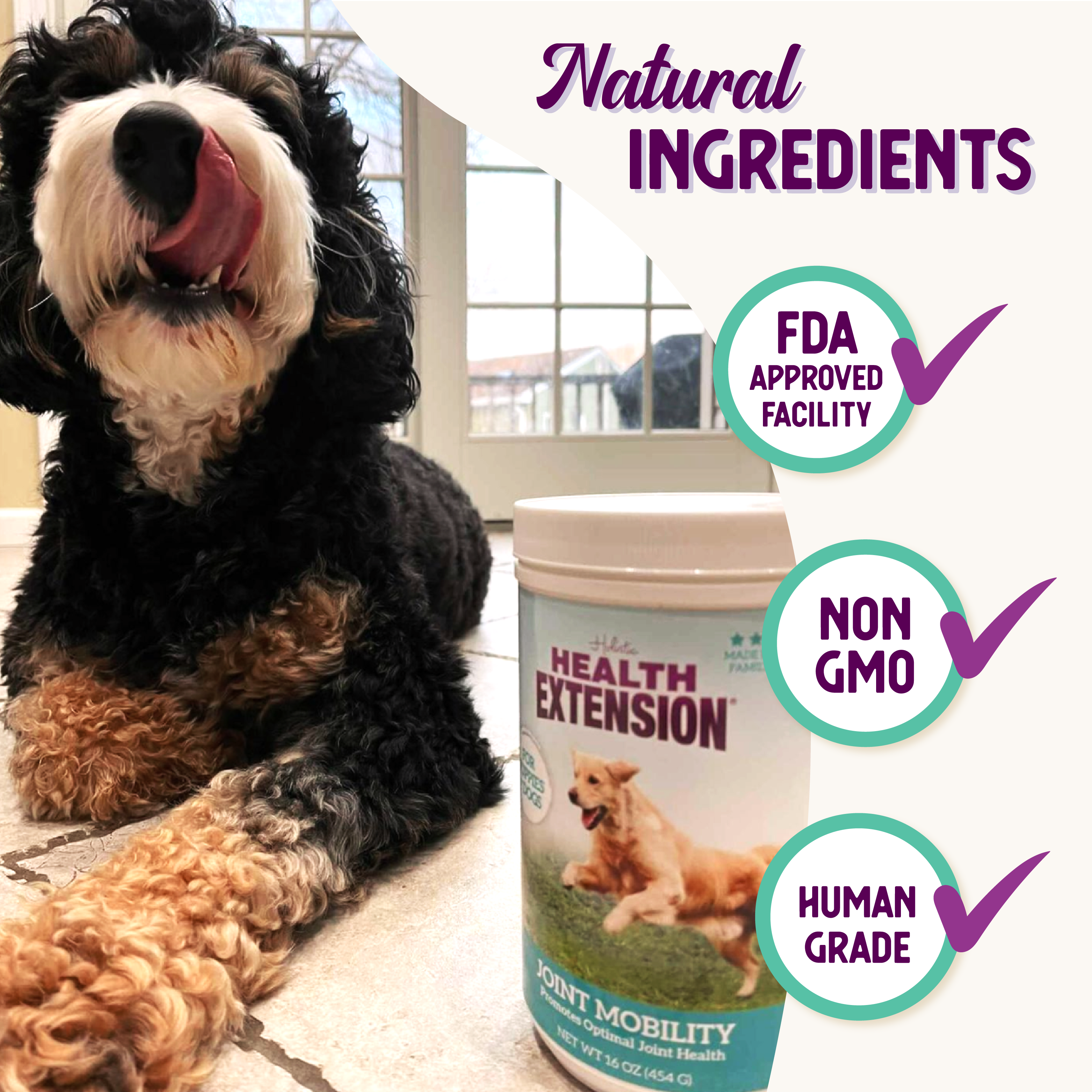 Health Extension Pet Care - Wholesale Pet Supplement - Dog - HIP + JOINT Mobility Supplement7