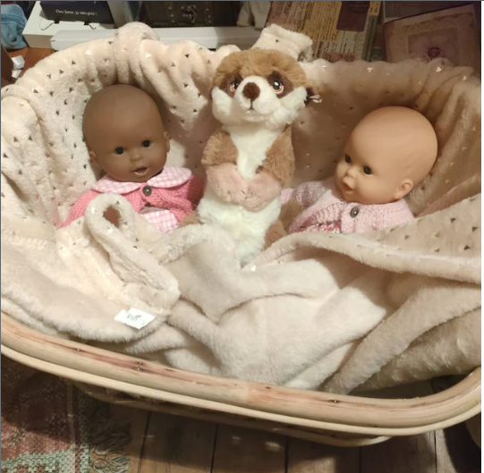 heartnests – wholesale Bassinet – Baby – Cra Handmade Rattan Baby Props5