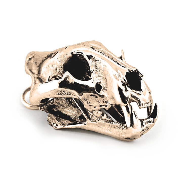 Bengal Tiger for wholesale by Fire & Bone