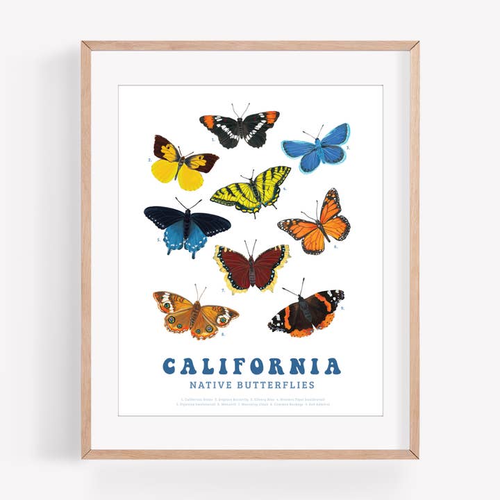 California Native Butterflies Art Print for wholesale by Brenna Daugherty Illustration