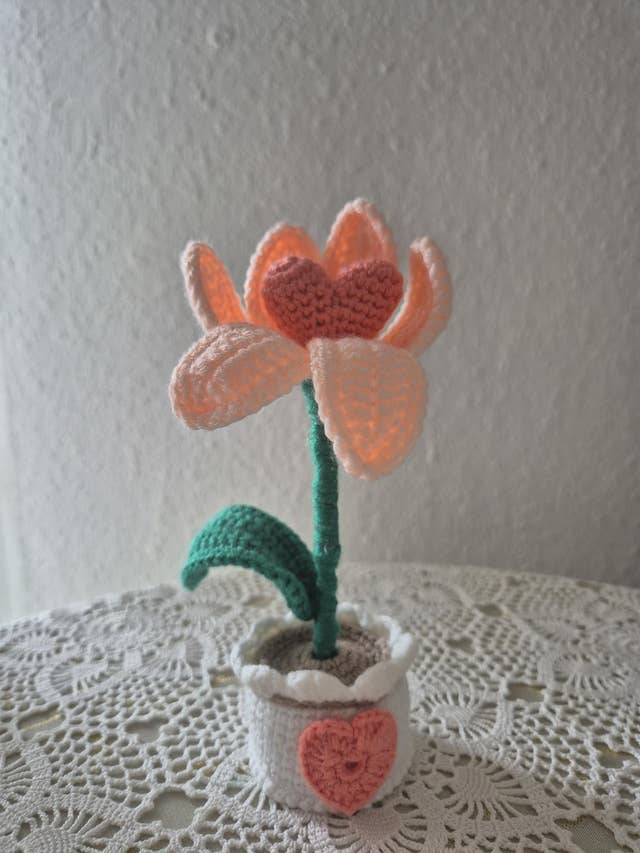 Pot de cœur réversible pour la vente par Zehra - L'Art du crochet