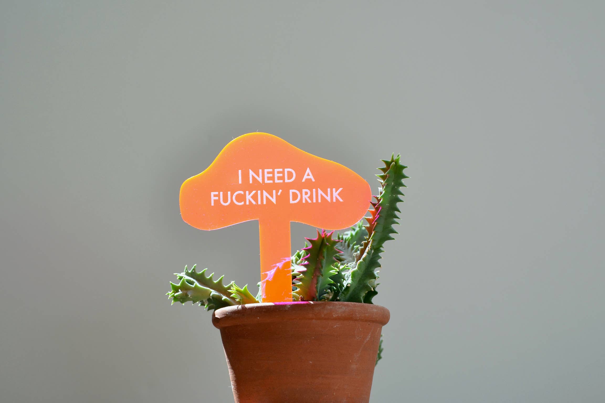 Tuff Girl Gang - Wholesale Plant Pot - I NEED A FUCKIN' DRINK Neon Pink Plant Stake7