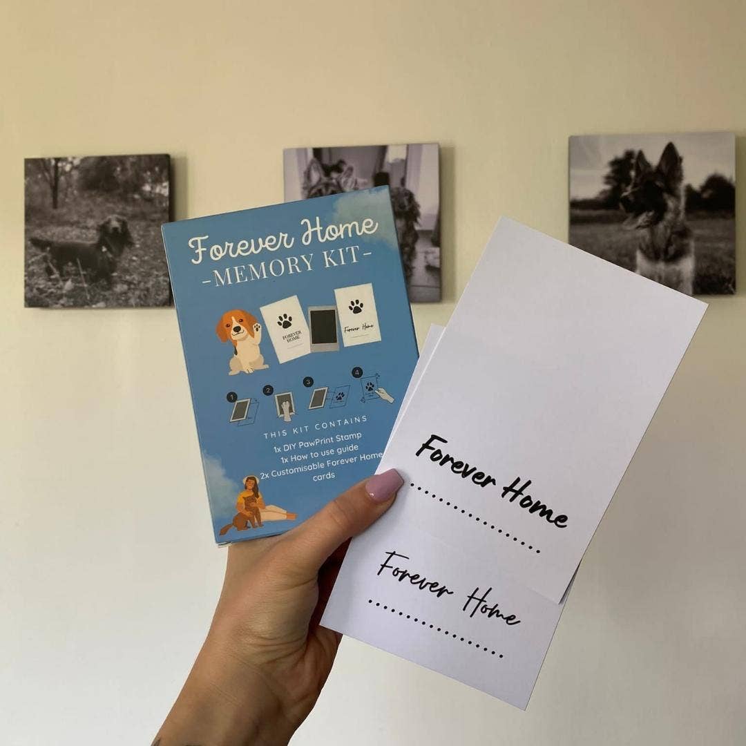 Paw Prints – wholesale DIY craft kit – Pet Paw Print Kits: Cats, Dogs, Puppy, Guinea Pig, Rabbit11