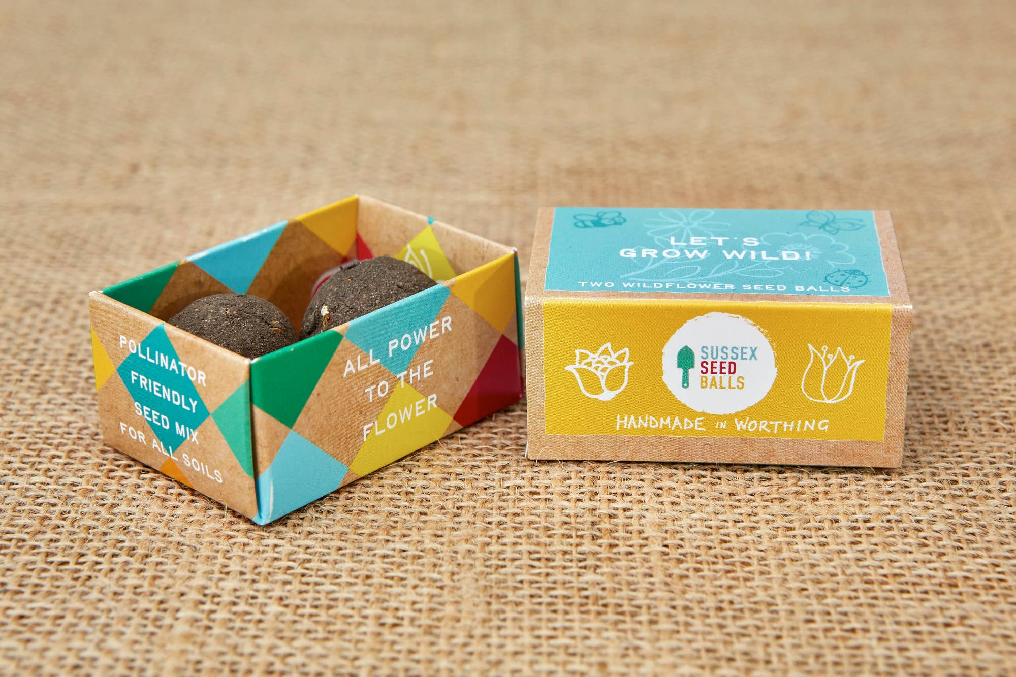 Sussex Seed Balls - Vente Graines de plantes - Coffret cadeau de boules de graines Grow Wild, avec deux boules de graines de fleurs sauvages1