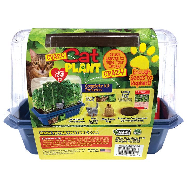 Silver Circle Products - Wholesale DIY Craft Kit - Crazy Cat Plant Mini World Terrarium 6