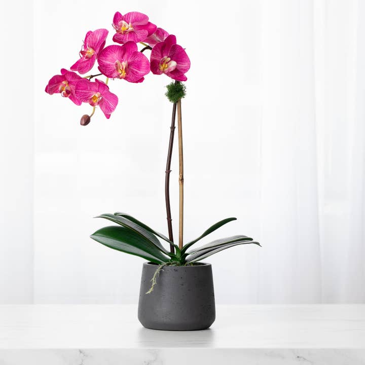 Artificial orchid plant - pink phalaenopsis orchid in black pot - 21" for wholesale by Vivian Rose LLC