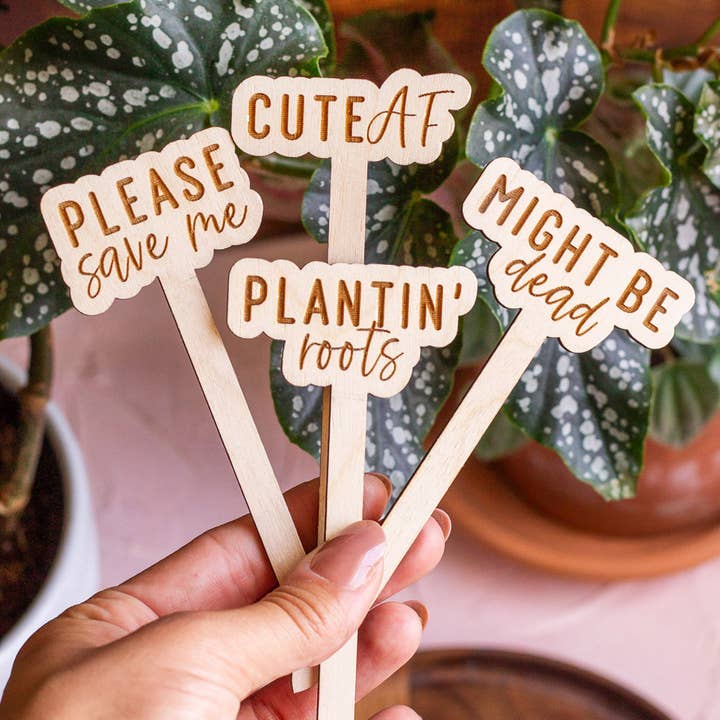 The Print Pantry - Wholesale Garden/Lawn Stake - Funny Script Wooden Plant Markers