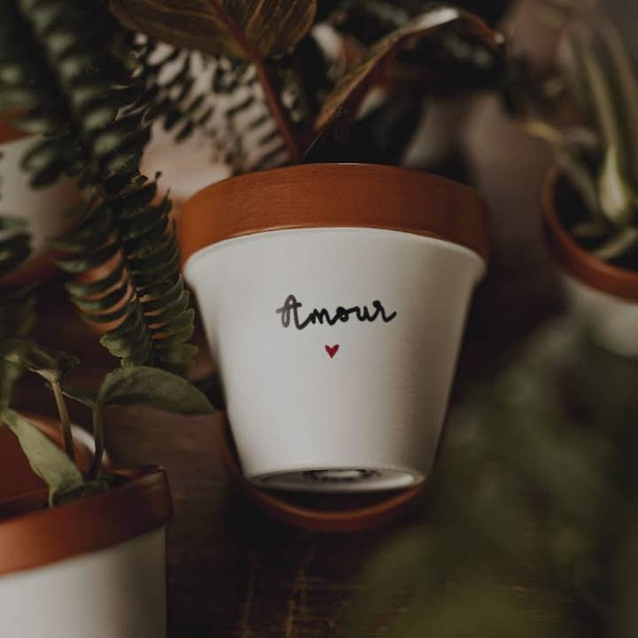 Flower pot, “Amour ♥” flowerpot for wholesale by Joli Pot