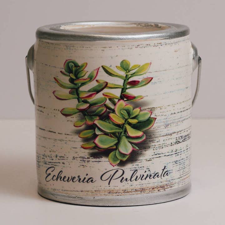 Farm Fresh Candle (20oz.) – Echeveria Pulvinata for wholesale by Cheerful Candle