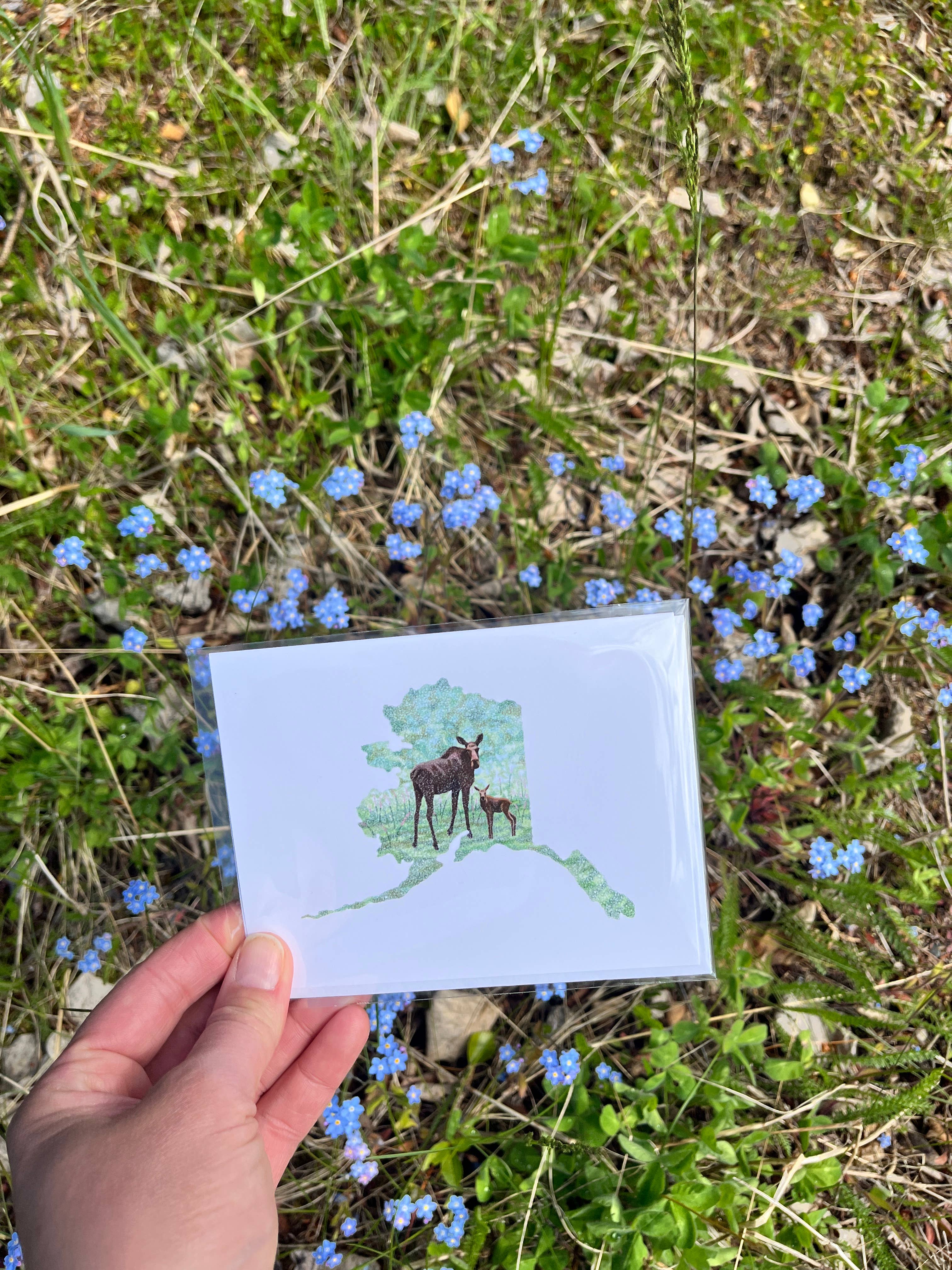 Sea Spray AK - Wholesale Everyday Greeting Card - Alaska State Map Momma Moose and Calf Greeting Card