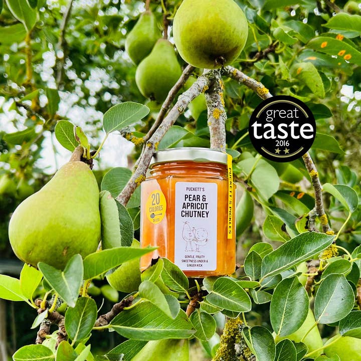 Pear & Apricot Chutney - Gentle, Fruity Sweetness Under a Ginger Kick for wholesale by Puckett's Pickles Ltd