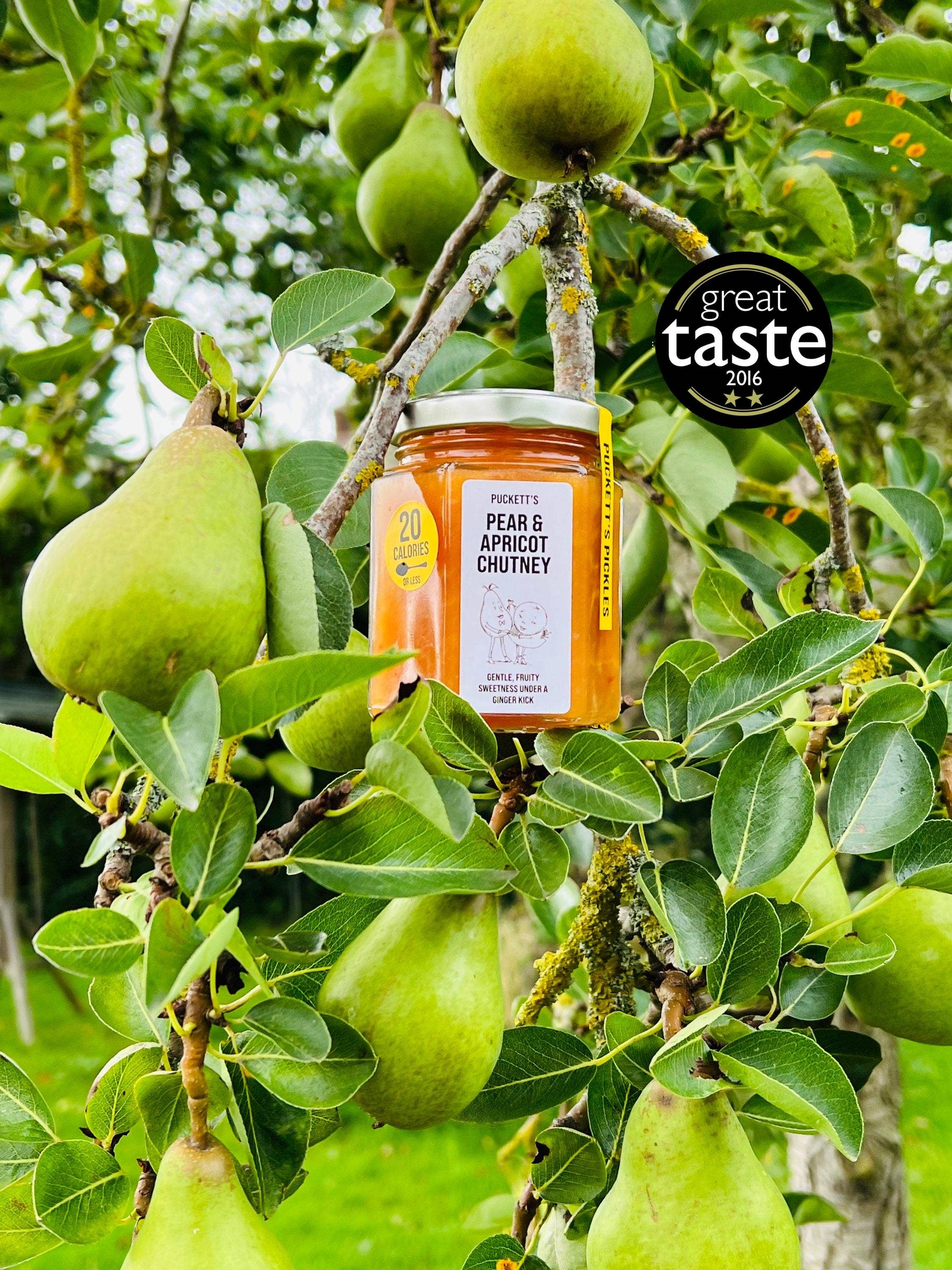 Puckett's Pickles Ltd - Vendita all'ingrosso Chutney - Chutney di pera e albicocca - Dolcezza fruttata delicata con un tocco di zenzero