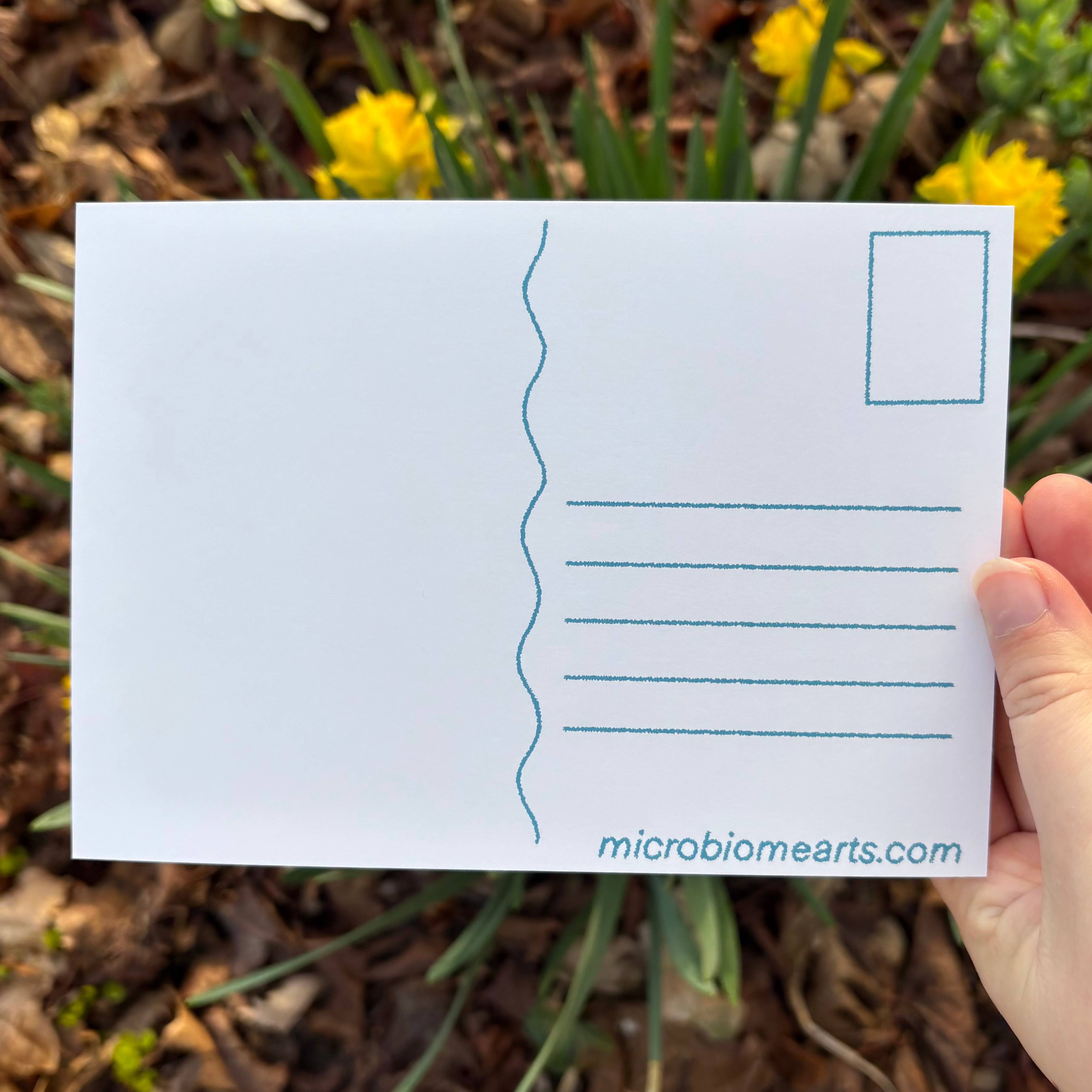 Microbiome Arts - Wholesale Art Print - Protect Local Pollinators Postcard Print1