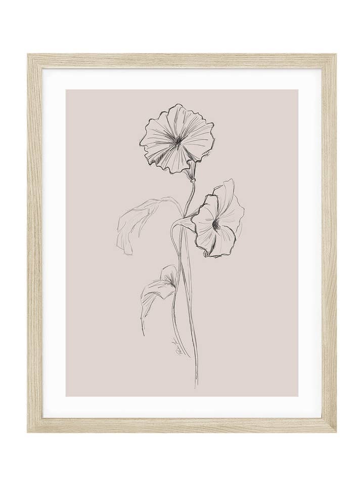 Morning Glory, September Birth Flower for wholesale by Love by Phoebe