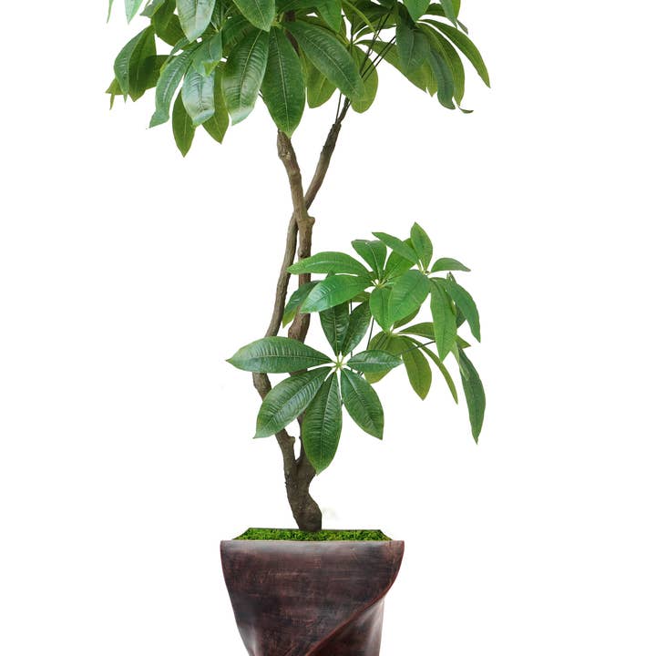 81.5" Pachira Aquat Real touch, In/Out in Fiberstone Planter for wholesale by Vintage Home