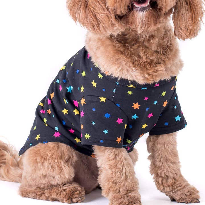 Star gazer dog shirt for wholesale by Vibrant Hound