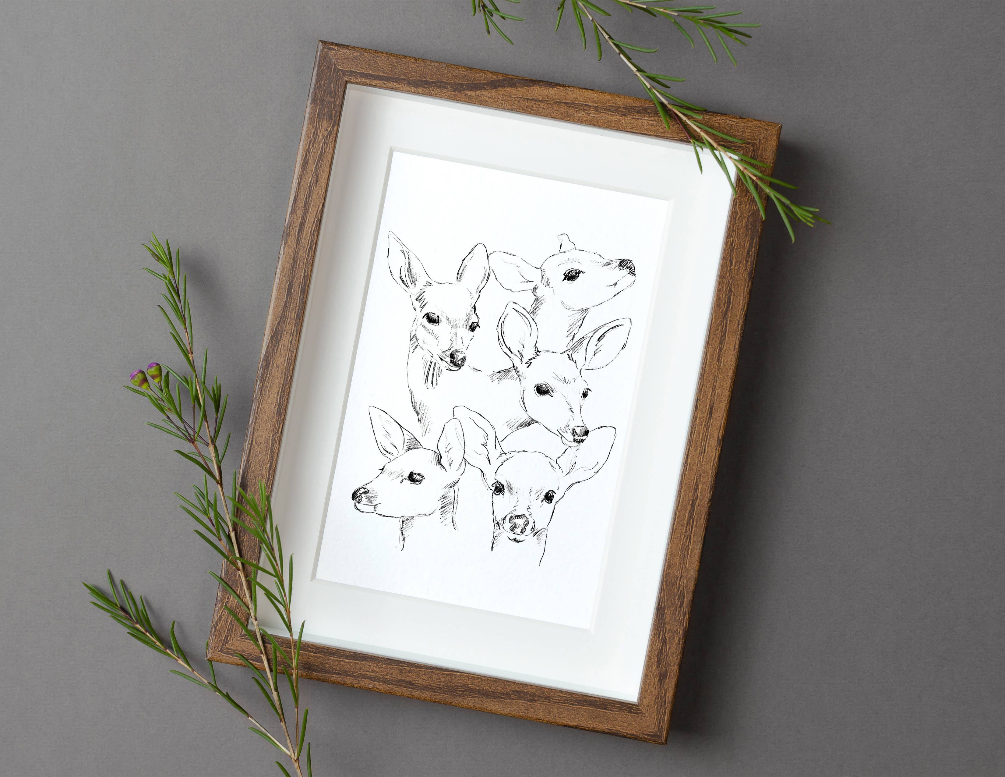 NorthHouse Creative Co. - Wholesale Art Print - Fawn Illustration Sketch Art Print2