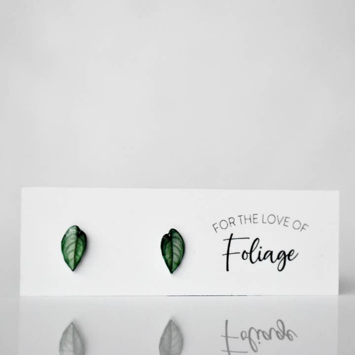 Monstera Siltepecana Stud Earrings | Leaf Earrings for wholesale by For the Love of Foliage