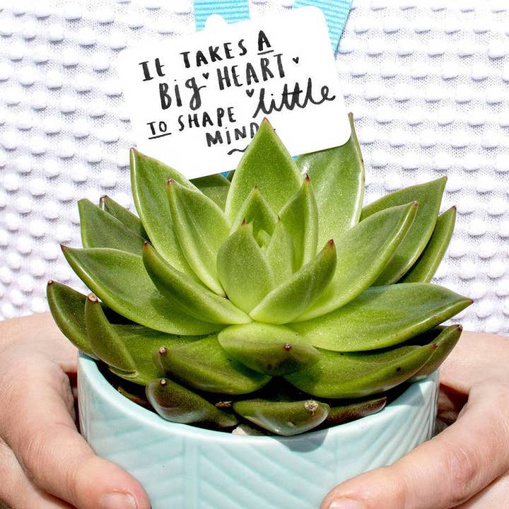 It Takes A Big Heart To Shape Little Minds Plant Marker for wholesale by Ellie Ellie LTD